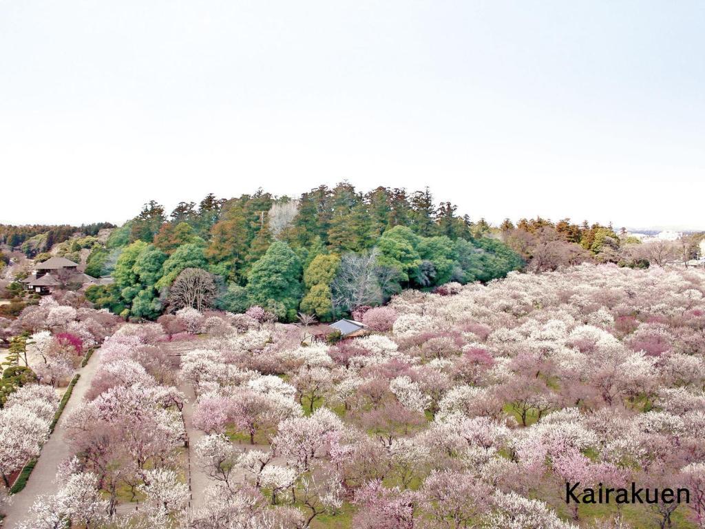 Mito Keisei Hotel Buitenkant foto